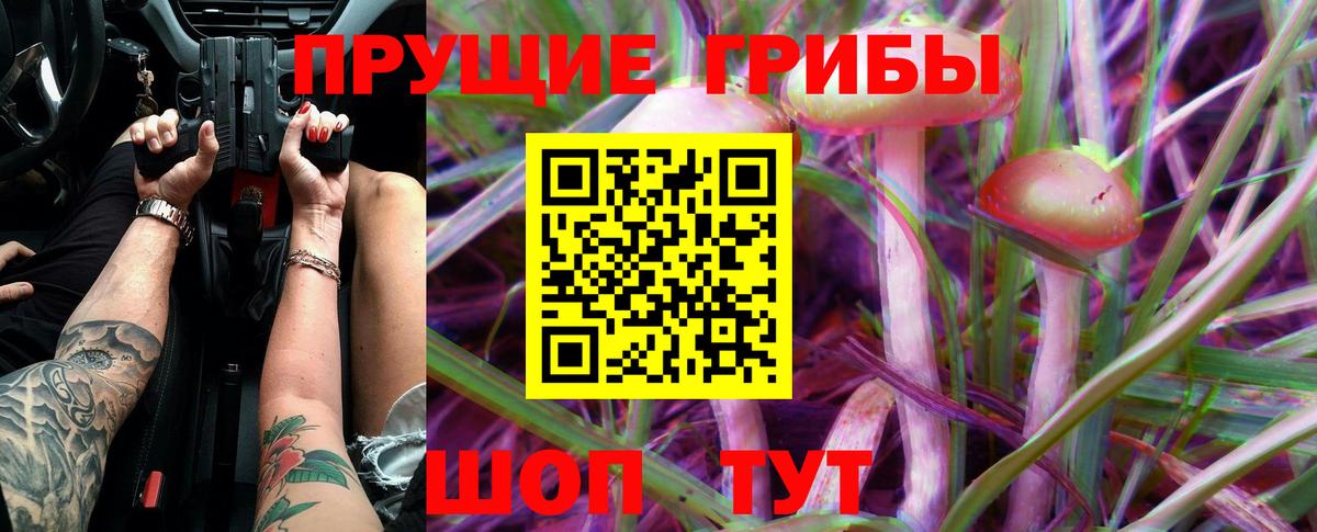 Псилоцибиновые грибы мухоморы  Псилоцибиновые грибы Cubensis  где купить   Вход с VPN  Ишимбай 